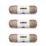 Caron Simply Soft Rose Garden Paints Yarn - 3 Pack of 141g/5oz - Acrylic - 4 Medium (Worsted) - 235 Yards - Knitting/Crochet, Rose Garden Paints