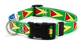 Guyana Dog Collar | Guyana Flag | Q