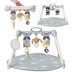 Taf Toys Urban Garden Foldable Baby Activity Gym – Double Sided Play Mat with 3 Sensory Hanging Toys & Baby Safe Mirror – Developmental Play Space for Infants & Newborns from Birth – Unisex Gift