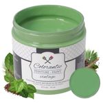 Colorantic | NATURE Chalk Paint for Furniture DIY - Multi-Surface Craft Paint | LEAF GREEN Home Decor Painting for Wood (8 oz)