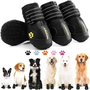 Hcpet Dog Shoes, Dog Boots for Small Dogs, Waterproof Medium Dog Booties Paw Protector for Summer Hot Pavement, Winter Snowy Day, Outdoor Walking, Indoor Hardfloors Anti Slip Sole Black Size 1