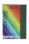 BRUSTRO Elle Erre Coloured Card Stock Craft Paper A4 Size 220 GSM Verdone Colour, Pack of 9 Sheets. Dark Green Shade