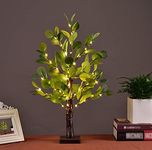 Lightshare 24IN Lighted Eucalyptus Tabletop Tree with Timer 56LED Warm White Battery Operated USB Powered for Wedding Christmas Party Home Décor