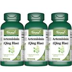 VORST Artemisinin 200mg Per Serving (100mg Per Capsule) 60 Vegan Capsules | Sweet Wormwood/Annual Mugwort Extract | Powder Pills | 3 Bottles