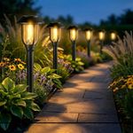 Solar Pathway Lights Outdoor 8 Pack