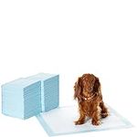 Amazon Basics Dog and Puppy Pee Pad