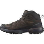 Salomon Men's X Ultra 360 Leather Mid Gore-Tex Walking Shoe, Dark Earth/Delicioso/Castlerock, 9 UK