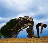 Another World [Sky Blue Coloured VINYL + 2CD Boxset inc. 24-Page Book]