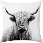 SARA NELL Highland Cow Pillow Cover