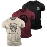 GYMTIER Men's Gym T-Shirt - 3 T-Shirt Bundle - Bodybuilding Training Top, Viking 1, M