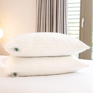 Martian Dreams LunaCore Hybrid Pillows, 2-Pack – Supportive Sleep