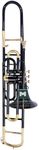 Valve Trombone, BB Pitch, Brass Quality with Carry Case & Including Mouthpiece (BLACK GOLD)