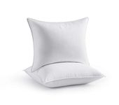 Seward Park Down-Alternative Hypoallergenic Bed Pillows, Luxury Plush Hotel Pillows for Side or Back Sleeper, 2 Pack