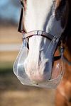 Flexible Filly Grazing Muzzle