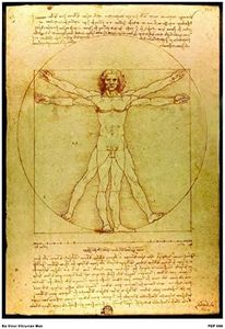 onthewall Da Vinci Vitruvian Man Poster Blanc 30 x 40 cm