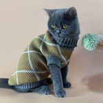 Khaki Rhombus Pet Sweater: Cosy & Stylish Wardrobe Essential for Cats (S (Back Length 21cm))