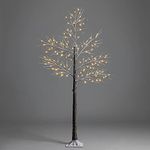 CHRISTOW Snowy Twig Tree With Lights 6ft, Pre Lit Birch Christmas Tree, Light Up Warm White LED Decoration, Indoor Outdoor, Mains Operated (120 LED)