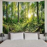 BCKAKQA Forest Tapestry Wall Hanging Green Tree and Sunshine Wall Tapestry Nature Landscape Tapestries for Bedroom Dorm Living Room Home Decoration Background Wall Blanket (150X200cm ,59"X79")