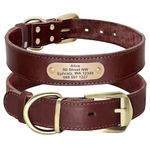 Didog Genuine Leather Dog Collars with Engraved Nameplate, Personalized Soft Leather Dog Collar with Custom ID Tag, Brown/Green/Red for Medium Large Dogs