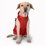 DOG-O-BOW Sherwani for Dog (M, Red)