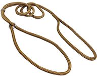 Dog Show Lead Braided Tubular Nylon 52" Long (XSmall: diam 5/32"(4mm), Beige)