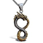 bahamut Mens Dragon Sword Pendant Necklace for Men Stainless Steel Gothic Vintage Jewelry with Chain (Eternal dragon)