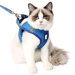 Heywean Cat Harness and Leash - Ultra Light Escape Proof Kitten Collar Cat Walking Jacket with Running Cushioning Soft and Comfortable Suitable for Puppies Rabbits (Medium (Pack of 1), Lake Blue)