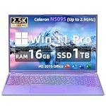 Fsjun 16" Laptop [Win 11 Pro/office 2019] Ultra-Narrow bezels FHD(2560x1600) IPS Display, Celeron N5095, DDR4 16G RAM, 1TB SSD, Color Backlit KB, USB 3.0x2, Type-C, HDMI (16G+1TB,Purple)