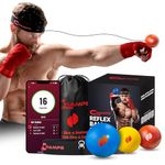 Champs MMA Boxing Reflex Ball - Boxing Equipment Fight Speed, Boxing Gear Punching Ball Great for Reaction Speed and Hand Eye Coordination Training Reflex Bag Alternative (Kids Set)