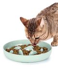 PETTOM Cat Slow Feeder Bowl, Fun Cat Puzzle Feeder Bowl Anti Vomiting, No-Spill Slow Feeder Cat Food Bowl Eating Interactive Anti Gulping Slow Feeder Dog Bowl for Puppy Kitte