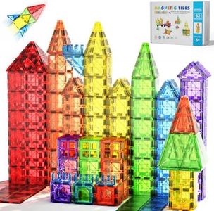 62PCS Magn