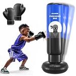 Punching Bag with Gloves for Kids B
