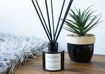 Oakmoss & Cedarwood Reed Diffuser - Clyde Candles Diffuser Oil with a Set of 7 Fibre Sticks, 100ml, Best for Home, Kitchen, Living Room, Bathroom. Diffusers set with sticks