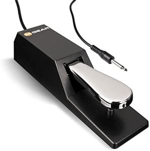 M-Audio SP-2 - Universal Sustain Pedal with Piano Style Action For MIDI Keyboards, Digital Pianos & More