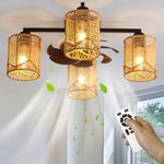 Universal Lighting and Decor Fans