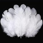 Soarer 300pcs White Feathers for Cr