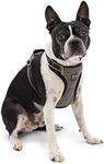 Kurgo Impact Dog Car Harness | Cras