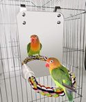 HYLYUN 7 Inch Bird Mirror with Rope Perch Cockatiel Mirror for Cage Bird Toys Swing Parrot Cage Toys for Parakeet Cockatoo Cockatiel Conure Lovebirds Finch Canaries