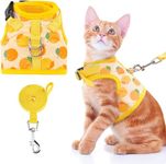 KUTKUT Cat Harness with Leash Escape Proof - Fashionable Mesh Cat & Small Dog Walking Harness Leads, Adjustable for Kitties Puppies Small Animals (SIZE S, Adjustable Chest: 30cm - 35cm)