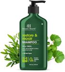 Botanic Hearth Tea Tree Shampoo Inf