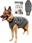 BellyGuard Recovery Suit for Dogs, 