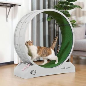 Pet Scene Cat Toy Exerciser Cat Wheel Running Fitness Workout Treadmill Machine Indoor Feline Spinning Walking Training Circle Plastic,with 2PCS Run Surface