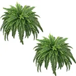 FOREST PRINCE 45" Fake Ferns, Reali