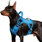 WINGOIN Blue Tactical Dog Harness f