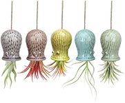 Mimeela 5 Pack Air Plant Holder Unique, Cute Octopus Air Plant Hanger Wall Planter, Ceramic Tillandsia Airplants Holders Hanging Wall Decor for Home Office (Small (2 x 3.2 in))