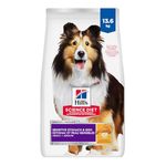Hill's Science Diet Adult Sensitive Stomach & Skin Chicken Recipe Dry Dog Food 13.6 kg Bag