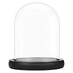 BELLE VOUS Glass Dome Cloche Bell Jar with Black Wooden Base - 19.5cm / 7.68 Inches - Clear Decorative Tabletop Display Case with Tray for Fairy Lights, Centrepieces and Antiques