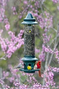 Jacobi Jayne Buster Plus Squirrel-Proof Bird Feeder, Metal, Green
