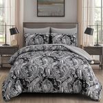 DJY Black Paisley Comforter Set Full Size 7 Piece Bed in a Bag Black and Grey Boho Paisley Pattern Comforter Set Soft Lightweight Microfiber Reversible Bedding Set for All Season