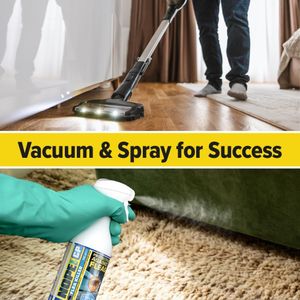 NOPE CP Flea Spray 500ml – Household Insect Killer